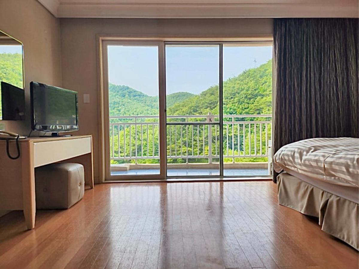 Hotel Sono Belle Danyang Habitación foto